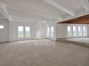 Vila deosebita cu piscina, familiala, investitie, business, Hunedoara - imagine 7