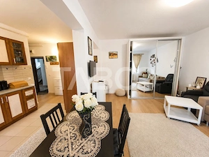 Garsoniera spatioasa de vanzare cu parcare parter M Viteazul Selimbar - imagine 9