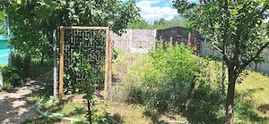 casa la tara cu livada  - imagine 4