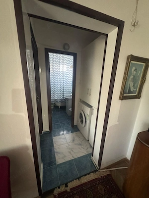VAND apartament 2 camere VEST BARAOLT - imagine 10