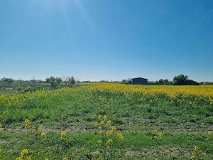 Investitie- Dezvoltare imobiliara - imagine 3