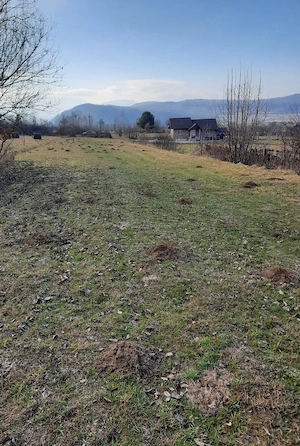 Teren de vânzare Racovița, jud. Sibiu