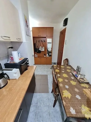 Lipovei | Apartament o camera | Bloc izolat | Decomandat - imagine 7