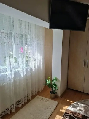 Lipovei | Apartament o camera | Bloc izolat | Decomandat - imagine 4