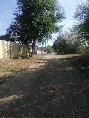 Casa, anexe si teren, Vitomiresti-Olt - imagine 8