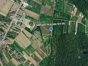 TEREN 980 MP DESCHIDERE 22,60 ML VEDERE LA PADURE  - imagine 5