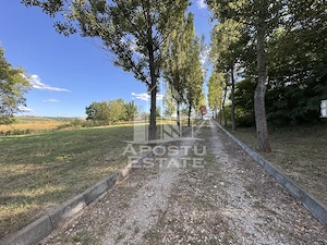Vila deosebita cu piscina, familiala, investitie, business, Hunedoara - imagine 20