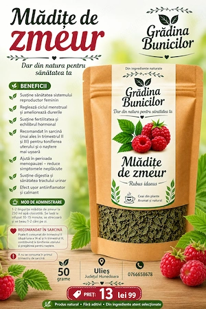 Mlădițe de zmeur uscate 
