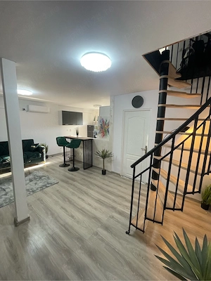  Surduc Lake house 574 - imagine 8