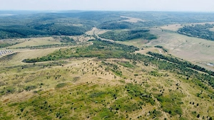 Vand teren in Lipova (Baile Lipova) 52,1 ha, curent 20 kv, drum betonat  - imagine 2
