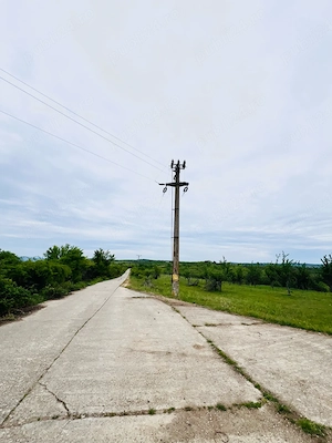Vand teren in Lipova (Baile Lipova) 52,1 ha, curent 20 kv, drum betonat  - imagine 3