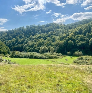  Teren extravilan 60 ari în Roșia, Bihor   Lângă pârâu, ideal pentru glamping, cabane sau fermă - imagine 4
