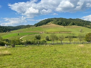  Teren extravilan 60 ari în Roșia, Bihor   Lângă pârâu, ideal pentru glamping, cabane sau fermă