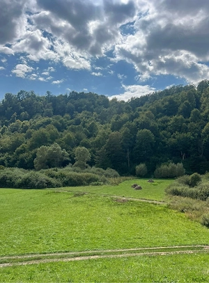  Teren extravilan 60 ari în Roșia, Bihor   Lângă pârâu, ideal pentru glamping, cabane sau fermă - imagine 5