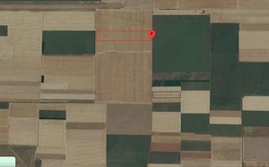 Vând teren agricol   5 ha, comuna Dor Mărunt, sat Dalga, județul Călărași, Preț: 1 euro mp  - imagine 3