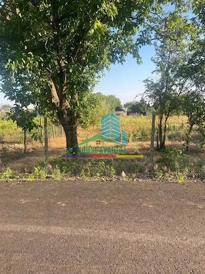 Teren 1500 mp pentru Casă | Petrești, Zonă de Case - imagine 3