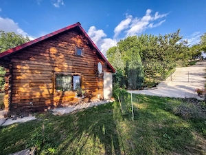 Casa de vanzare, 80 mp, teren 1903 mp, livada, sat Vechea-Chinteni - imagine 2