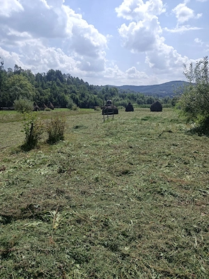 CASĂ + 3,5 ha TEREN lângă Mănăstirea Strâmtura, Valea Izei, Maramureș - imagine 5