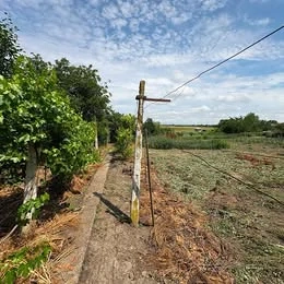 Vand casa din caramida, la strada principala, in Sannicolau Mare - imagine 7