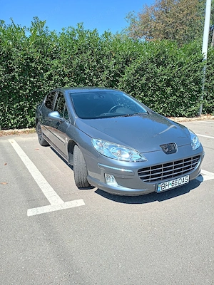 Vand Peugeot 407