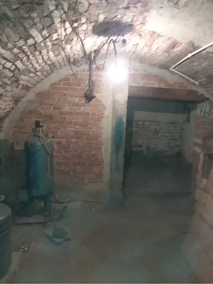 Vand sau schimb casa Aluniș - imagine 8