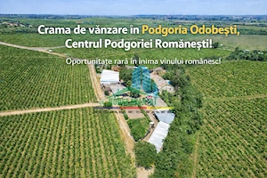 Cramă complet funcțională in inima Podgoriei Odobești