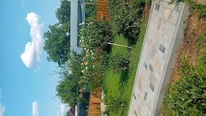 Casa si teren 750mp deschidere 40m 24ml Ilfov-Petrachioaia  - imagine 6