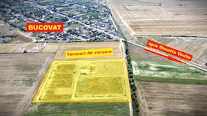 Terenuri intre Mosnita si Bucovat, cu gaz, apa, curent– 62 euro/mp+TVA - imagine 4