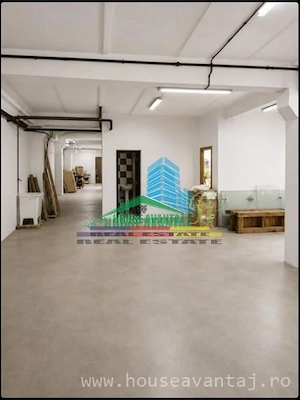 Hala industriala , productie, depozitare , centru logistic - imagine 5