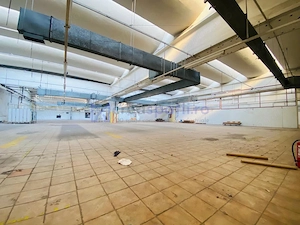 Hala str. Stefan cel Mare Vaslui, langa mall, 9023mp - imagine 11