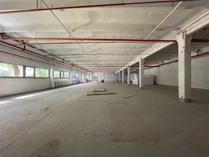 Spatii depozitare, productie, Calea Chisinaului, de la 74mp la 2000mp - imagine 4