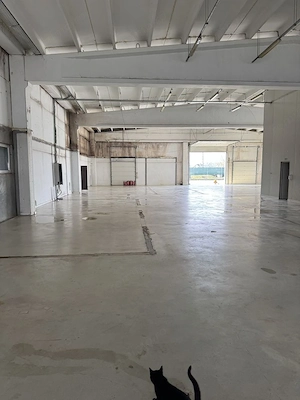 spatiu industrial zona Selimbar Sibiu - imagine 7