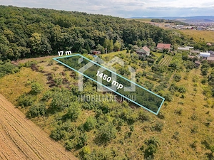 Teren intravilan – 1.450 mp | Jucu de Sus, marginea pădurii - imagine 3
