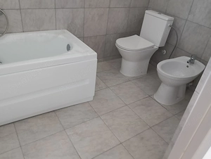 Vand casa la cheie din beton si caramida in loc. Bulgarus jud. Timis teren total 1998 mp. - imagine 7