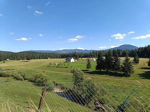 3900 mp teren intravilan in Poiana Stampei - imagine 6