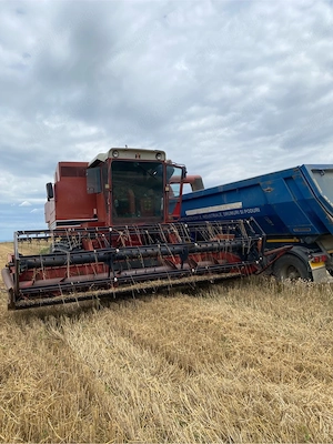 Case international 1460 - imagine 3