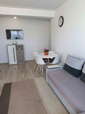 Apartament tip studio  - imagine 4
