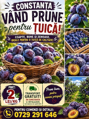 vînd prune te țuică pălină