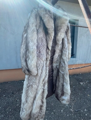 blana vulpe argintie naturala