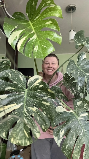 Caut loc de muncă în horticultură   îngrijirea plantelor - imagine 2