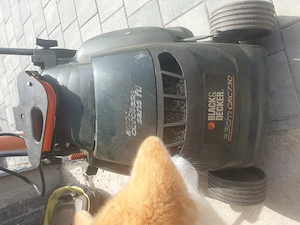 Masina tuns gazon acumulator Karcher