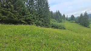 1 Ha teren Hangu Lacul Bicaz - imagine 6