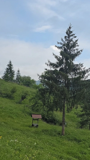 1 Ha teren Hangu Lacul Bicaz - imagine 8