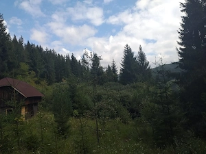 1 Ha teren Hangu Lacul Bicaz - imagine 5