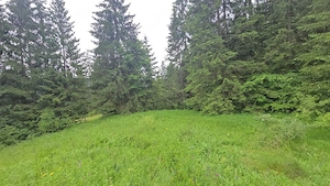 1 Ha teren Hangu Lacul Bicaz - imagine 3