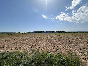 Teren langa padure pentru casa, Cercu, Barnova, de la 500mp la 4000mp - imagine 7