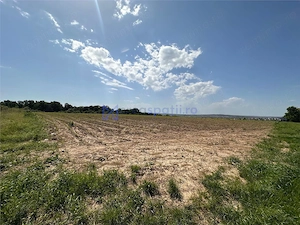 Teren langa padure pentru casa, Cercu, Barnova, de la 500mp la 4000mp - imagine 2