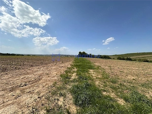 Teren langa padure pentru casa, Cercu, Barnova, de la 500mp la 4000mp - imagine 8