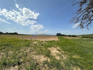 Teren langa padure pentru casa, Cercu, Barnova, de la 500mp la 4000mp - imagine 6