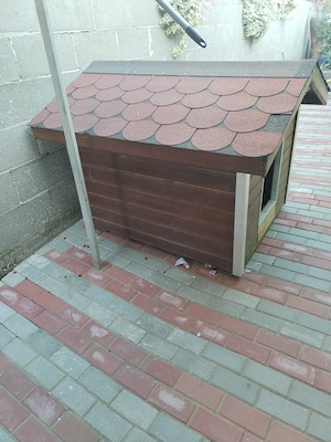 Cușcă câini mari